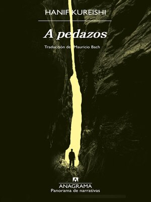 cover image of A pedazos